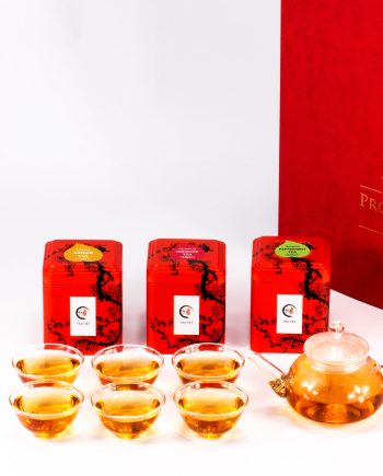 Ginger – Peppermint – Hibiscus Tea Superior Glass Plus