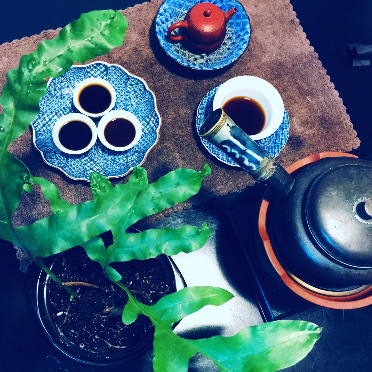 Trà Phổ Nhĩ có nhiều tác dụng tốt cho sức khỏe