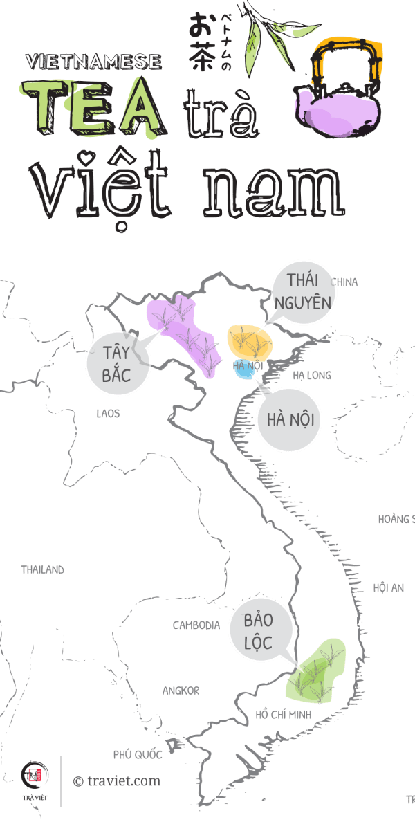 Bản đồ các vùng trà Việt Nam