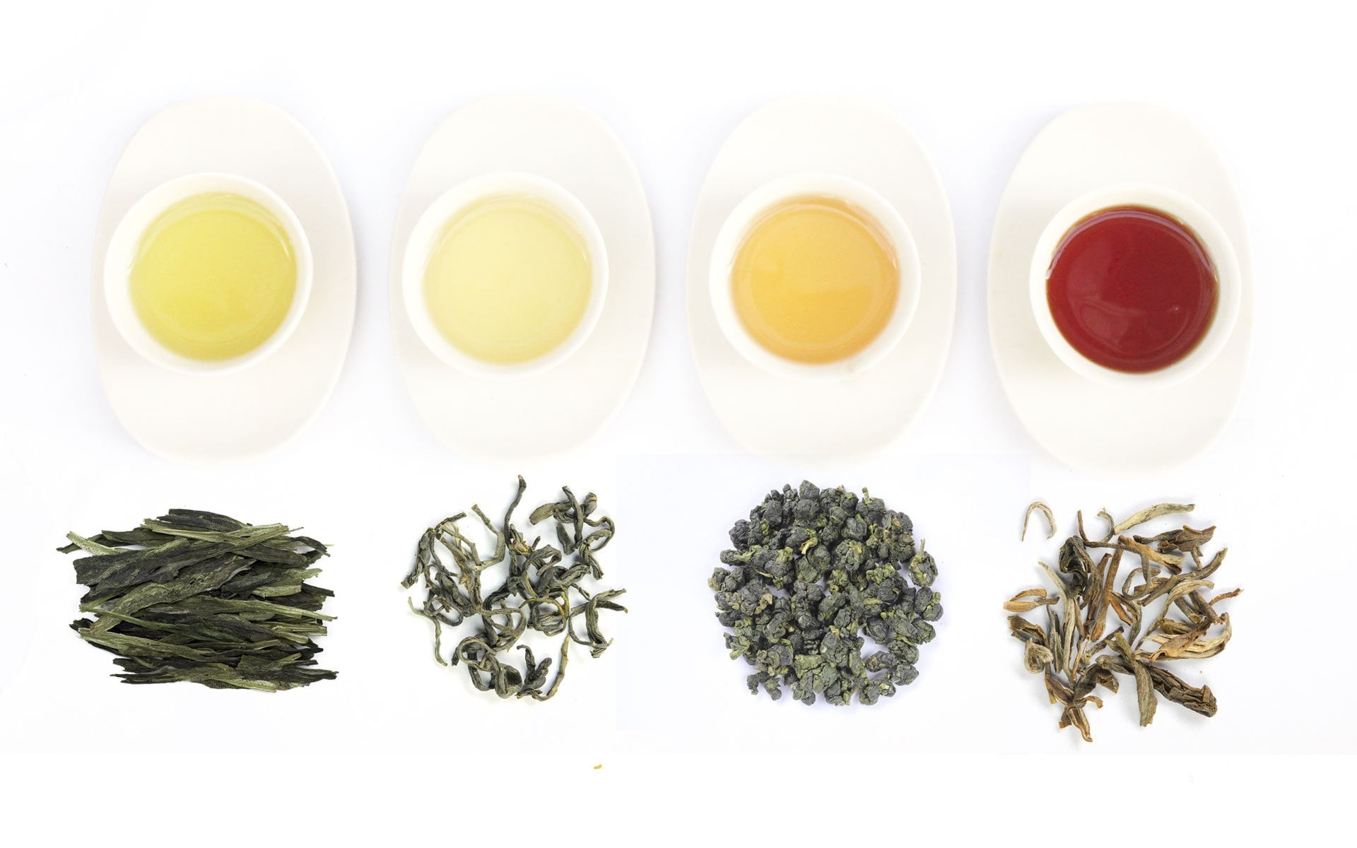 Phân biệt các loại trà | Kiến thức về trà - Trà Việt | Các loại trà trên  thế giới