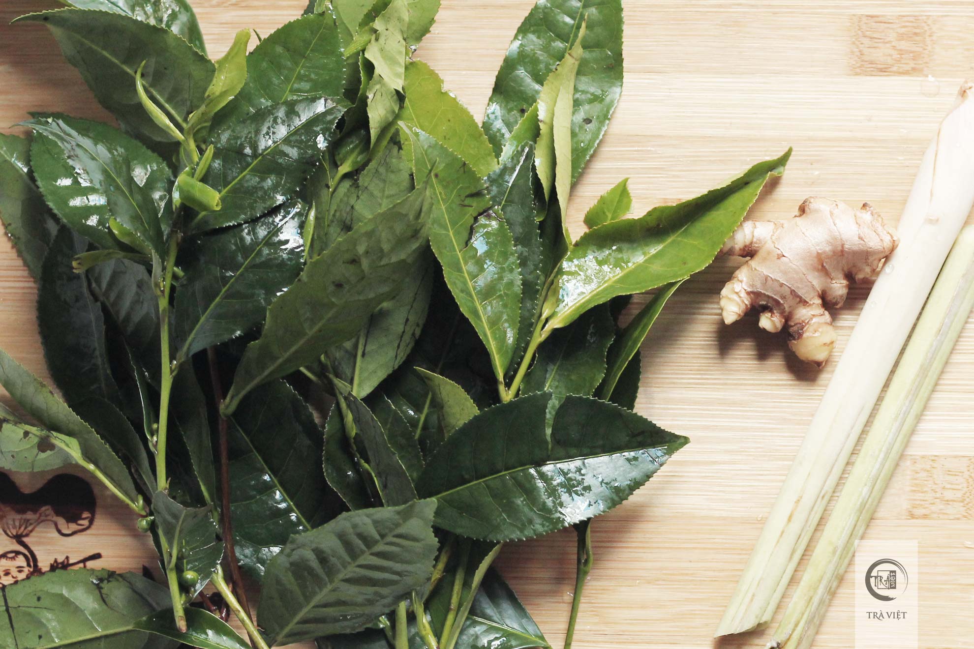 Cách nấu lá trà xanh (chè tươi) 5 bước - Trà Việt