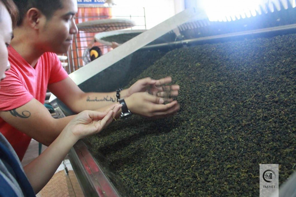 Đồi trà ô Long Bảo Lộc - nhà máy trà ô long