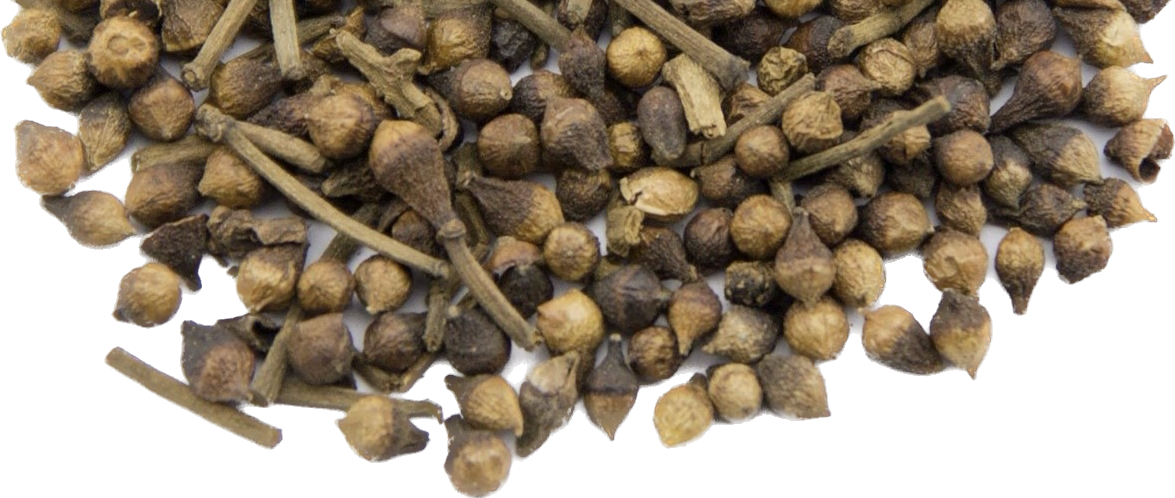 tra-voi-haft Trà Vối