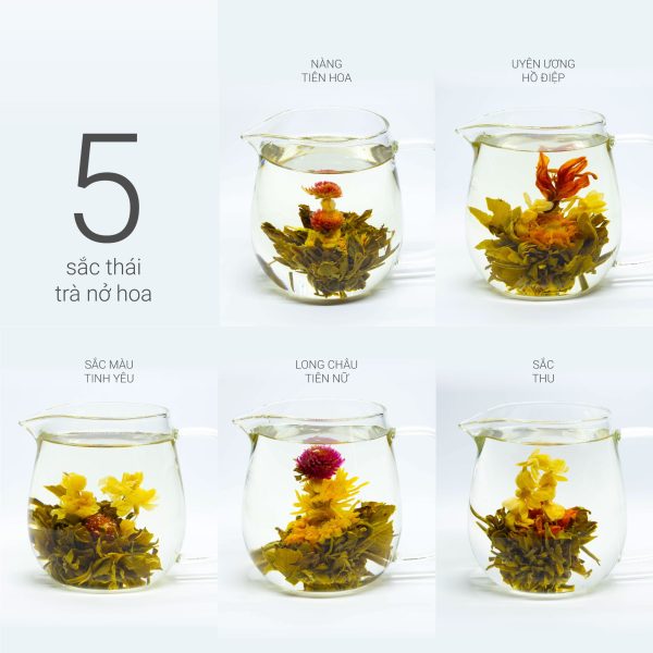 5 loại trà nở hoa