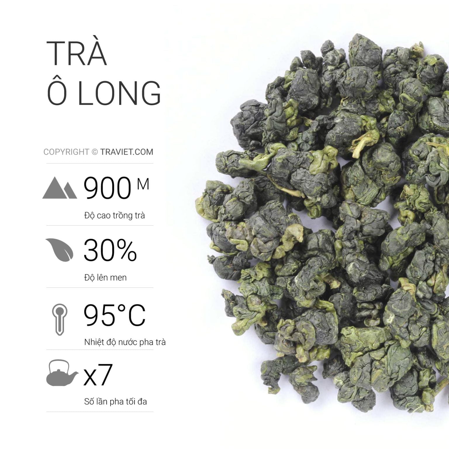 Tra Ww 26 loại trà đặc sản của Việt Nam - Trà Việt