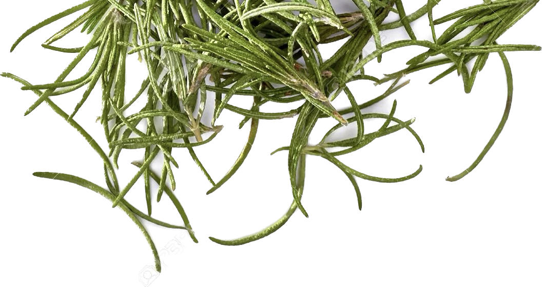 tra-huong-thao-haft Trà Hương Thảo