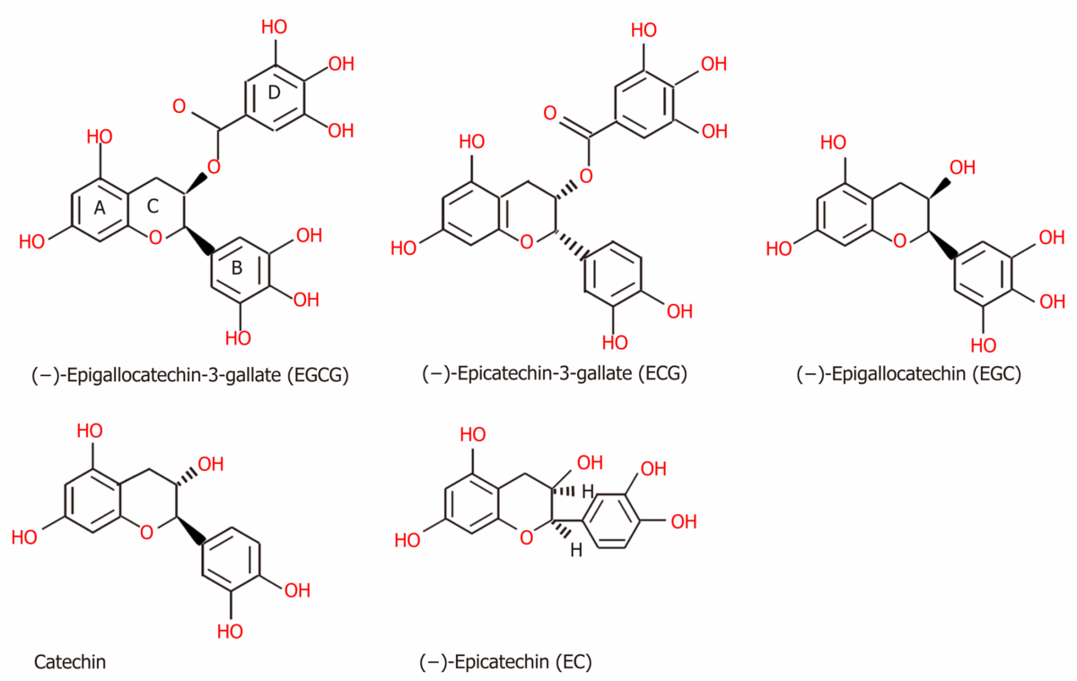 Cấu trúc hoá học của Catechins - hợp chất polyphenol trong trà