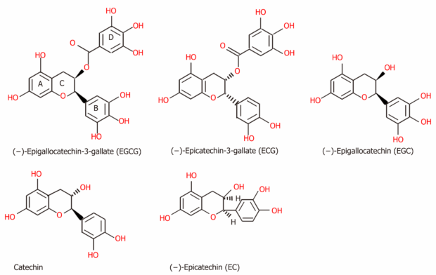 Cấu trúc hoá học của Catechins - hợp chất polyphenol trong trà