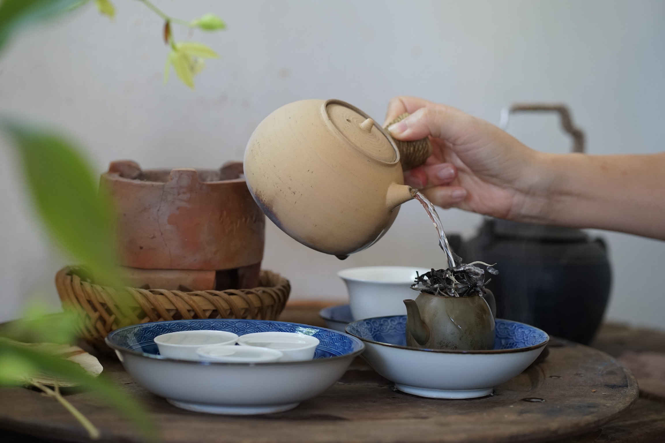 Lịch sử trà thế giới: cách pha trà sợi rời theo lối Trà Chuyên Việt Nam