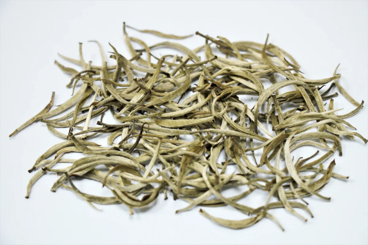 Trà trắng - Bạch trà - một trong 6 dòng trà căn bản trên thế giới